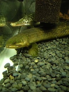 retoro 028.jpg